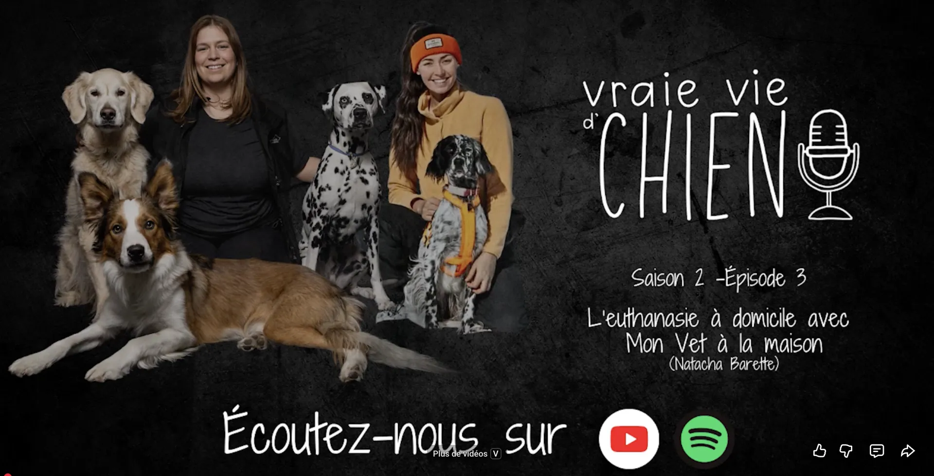 Vraie vie d'chien — Saison 2, Épisode 3 : L'euthanasie à domicile avec Mon Vet à la Maison